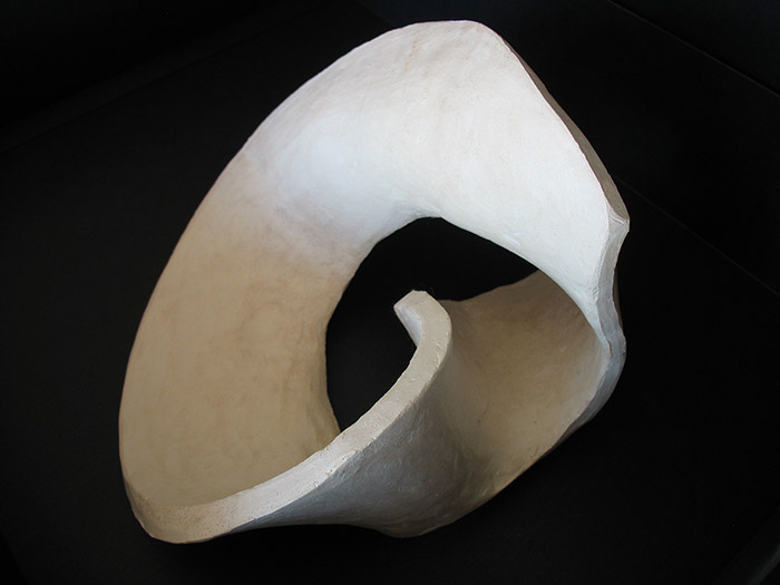 Möbius n°8 discoïde